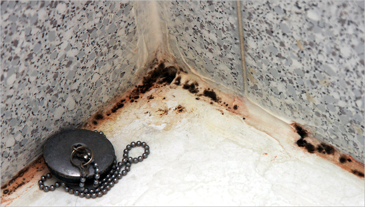 Система защиты от плесени в ванной «Доктор Сухов»