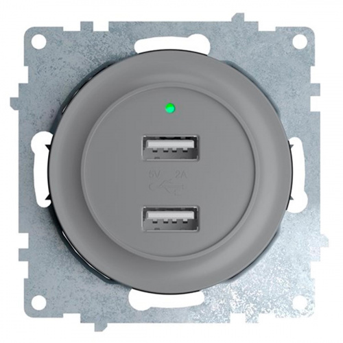 Розетка USB двойная OneKeyElectro Florence 1E10351302, с подсветкой, серый